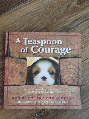 A Teaspoon of Courage Book Bradley Trevor Greive